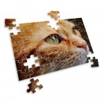 Photo Puzzle | 8x10